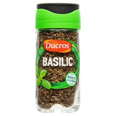 Basilic